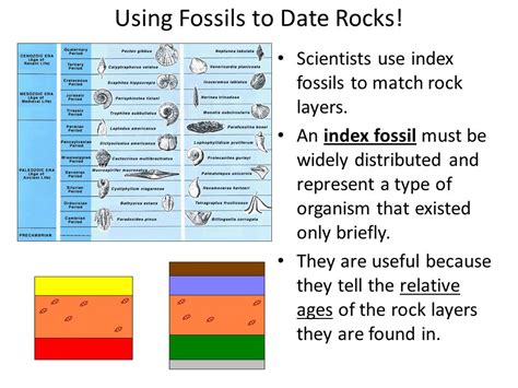 how do scientists use relative dating